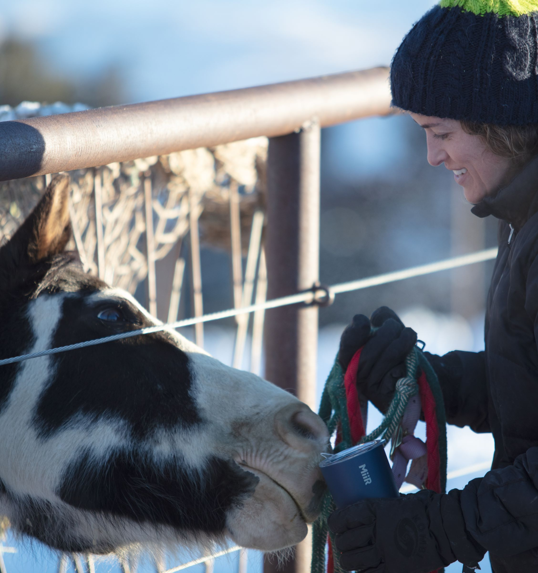 MiiR 16oz VI Tumbler (473ml) - Tidal Blue